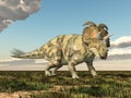 Dinosaur Albertaceratops Royalty Free Stock Photo