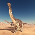 Dinosaur Diamantinasaurus in the desert Royalty Free Stock Photo