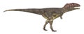 Dinosaur Mapusaurus isolated on white background