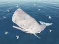 Emerging sperm whale and seagulls Royalty Free Stock Photo