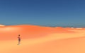 Lone wanderer in a desert