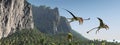 Pterosaur Peteinosaurus over a coastal landscape