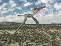 Pterosaur Pterodactylus flying over a landscape