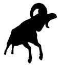 Silhouette of a bighorn sheep