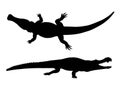 Silhouette of a Crocodile