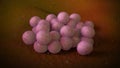 3D illustration of a Staphylococcus Aureus Bacteria Royalty Free Stock Photo