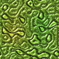 Green seamless alien skin texture