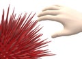 A hand reaching for a red sea urchin with sharp needle spikes