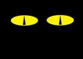 A pair of yellow cat eyes with black slit pupils black backdrop