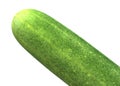 Partial view of a green cucumber at the tip head against a white backdrop