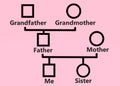 A simple Genogram diagram chart used in counselling and social service light pink backdrop