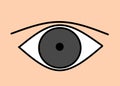 A simple illustration image of a dark grey human eye with no color against a skin backdrop