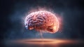 A computer-generated image of a human brain. Generative ai Royalty Free Stock Photo