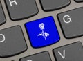 Computer keyboard with flower key Royalty Free Stock Photo