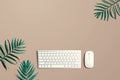 Computer keyboard and mouse with tropical plants Royalty Free Stock Photo
