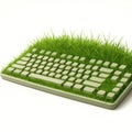 A computer keyboard overgrown with grass. Royalty Free Stock Photo