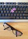 Computer keyboard with pink spring flower and glasses Royalty Free Stock Photo