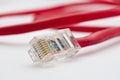 Computer LAN Cables Red Royalty Free Stock Photo