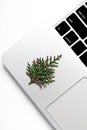 Computer laptop and christmas gift. pine tree with new year decoration Royalty Free Stock Photo