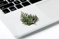 Computer laptop and christmas gift. pine tree with new year decoration Royalty Free Stock Photo