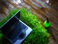 Computer on the lawn on a wooden wet surface and hand-pumped sprayer