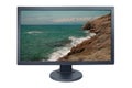 Computer monitor isolated on white with screensaver running