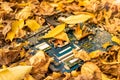 Electronic circuit board in autumn leaves