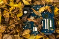 Computer motherboard lying on the street in the autumn yellow fallen leaves