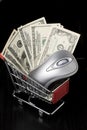 Computer mouse and $100 dollar bills in a shopping Royalty Free Stock Photo