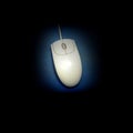 Computer Mouse Royalty Free Stock Photo