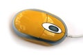 Computer mouse. Royalty Free Stock Photo