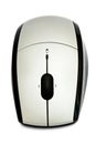 Computer mouse Royalty Free Stock Photo