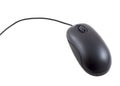 Computer Mouse Royalty Free Stock Photo