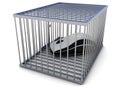 Computer mouse in cage