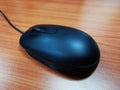 Computer Mouse. A computer mouse is a hand-held pointing device that detects two-dimensional motion relative to a surface.