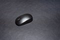 Computer mouse. The computer mouse on a white background. Concept of using computer items, remote work, homeoffice Royalty Free Stock Photo