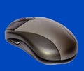 Computer Mouse