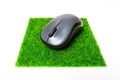 Computer Mouse on a Grass Mousepad Royalty Free Stock Photo