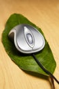 Computer mouse on a leaf Royalty Free Stock Photo