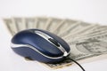 Computer mouse and money Royalty Free Stock Photo