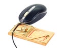 Computer mouse and mousetrap Royalty Free Stock Photo