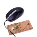 Computer mouse and mousetrap Royalty Free Stock Photo