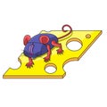 A computer mouse with paws and ears runs along a cheese path on a white isolated background. Vector image Royalty Free Stock Photo