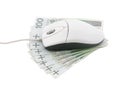 Computer mouse on polish money Royalty Free Stock Photo