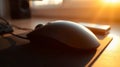 A computer mouse rests on a desk, illuminated by warm sunlight streaming through a window Royalty Free Stock Photo