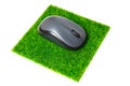 Computer Mouse Set on a Grass Mouse Pad Royalty Free Stock Photo