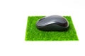 Computer Mouse Set on a Synthetic Mousepad