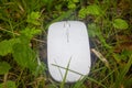 Computer mouse on summer grass background Royalty Free Stock Photo