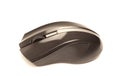 Computer mouse on a white background