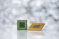 Computer processor chip on blurred background Royalty Free Stock Photo